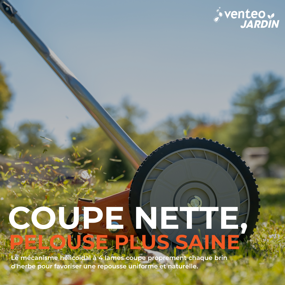 Tondeuse manuelle hélicoïdale 4 lames